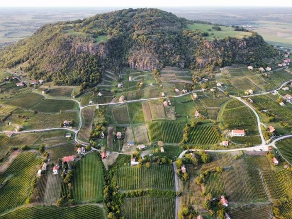 Ság, Somló (Nagy-Somlói borvidék) –&nbsp;VV