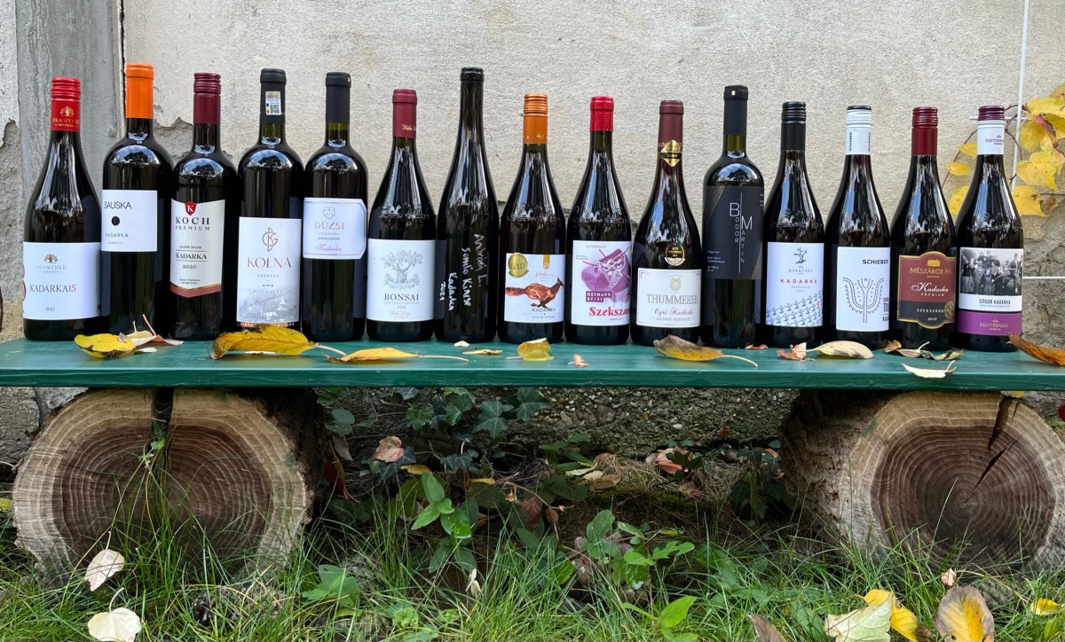 Pinot Noir vs. Kadarka – valóban a kadarka lenne a magyar&nbsp;pinot?